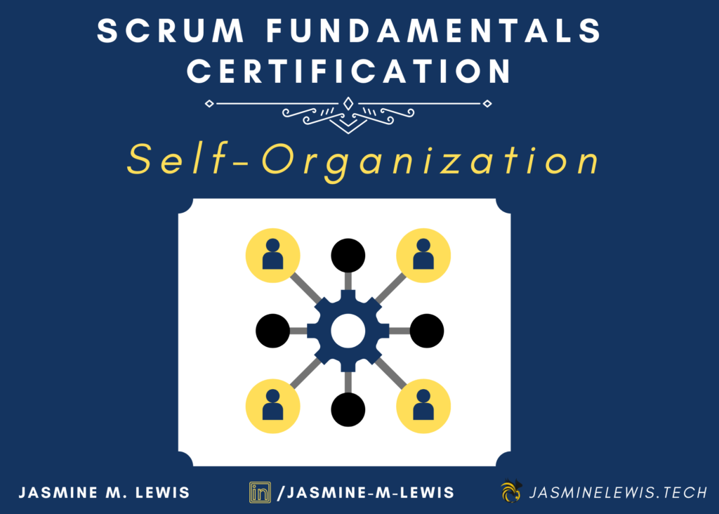 Scrum Principle: Self-Organization