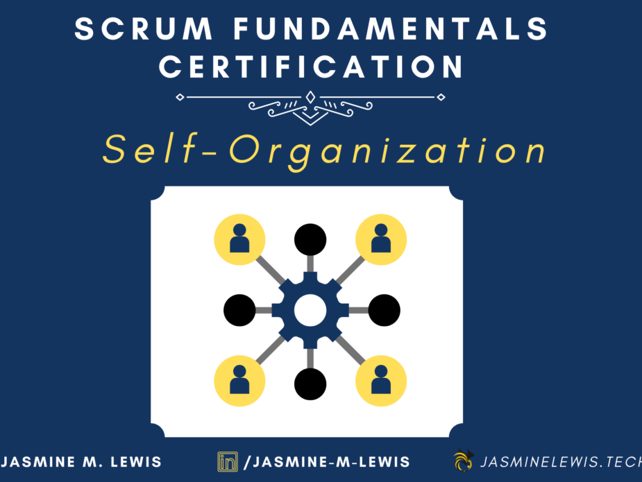 scrum-fundamentals-certification-part-ii-principles-c-self-organization